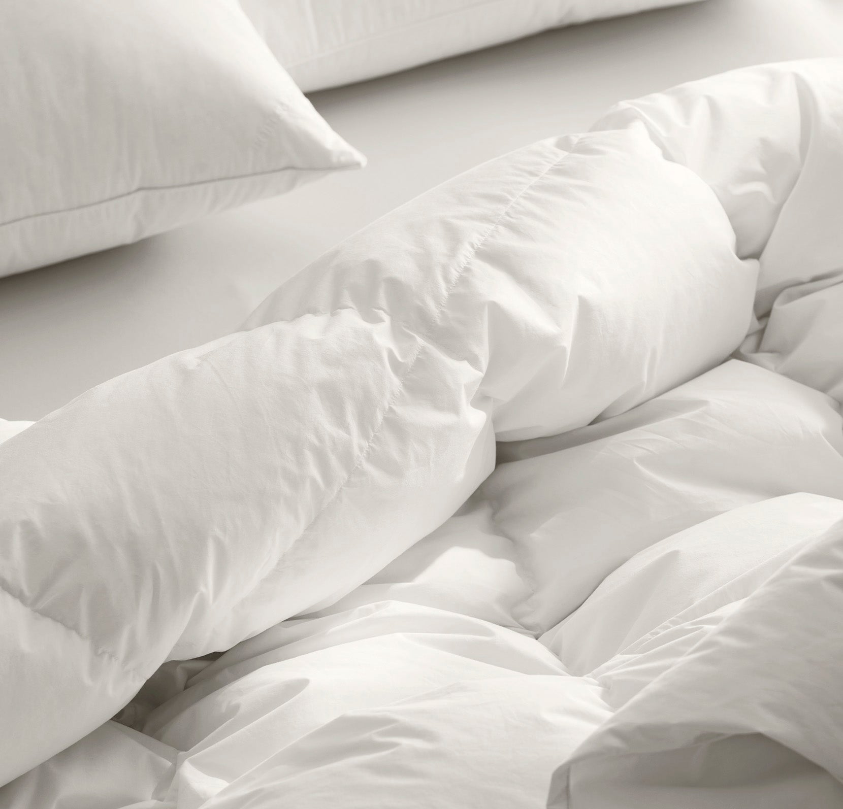 Down Duvet Insert